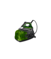 Rowenta DG8686 Perfect Steam Pro