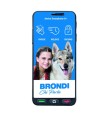 Brondi Amico Smartphone S+ Nero